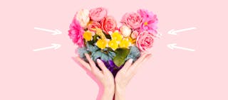 flores y migrañas