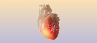 Image of How To Tell if Shortness of Breath Is From Anxiety