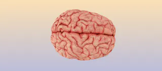 Image illustrating 'Can panic attacks cause seizures?'