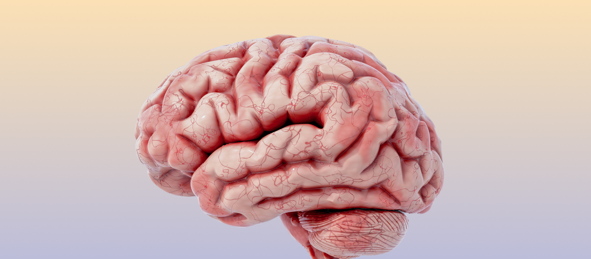 The difference between SSRI and SNRI medications